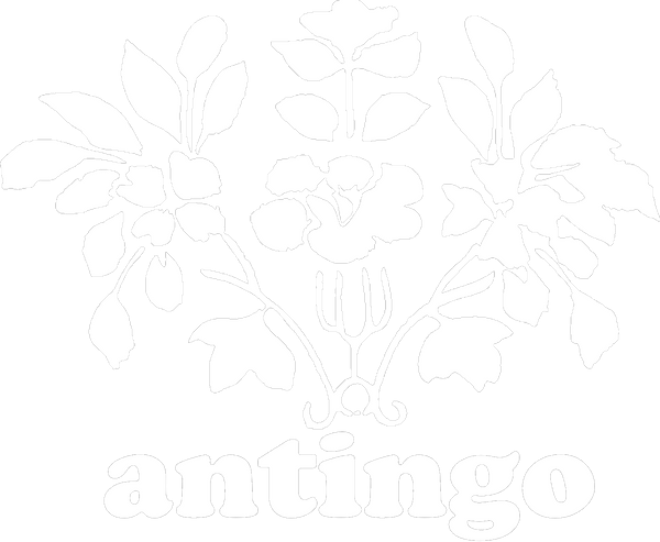 Antingo